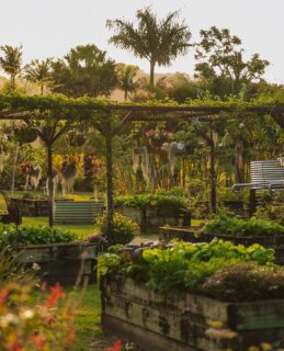 The heart of Potager. 🌿⁠
⁠
Our garden is more than just a beautiful backdrop, it's where many of the ingredients that inspire our menu begin their journey.⁠
⁠
With each season comes something new to harvest, grow and share, connecting the garden, the kitchen and every dining experience that follows.⁠
⁠
#PotagerAtCarool #KitchenGarden #SeasonalProduce #GardenToPlate #TasteTheTweed⁠