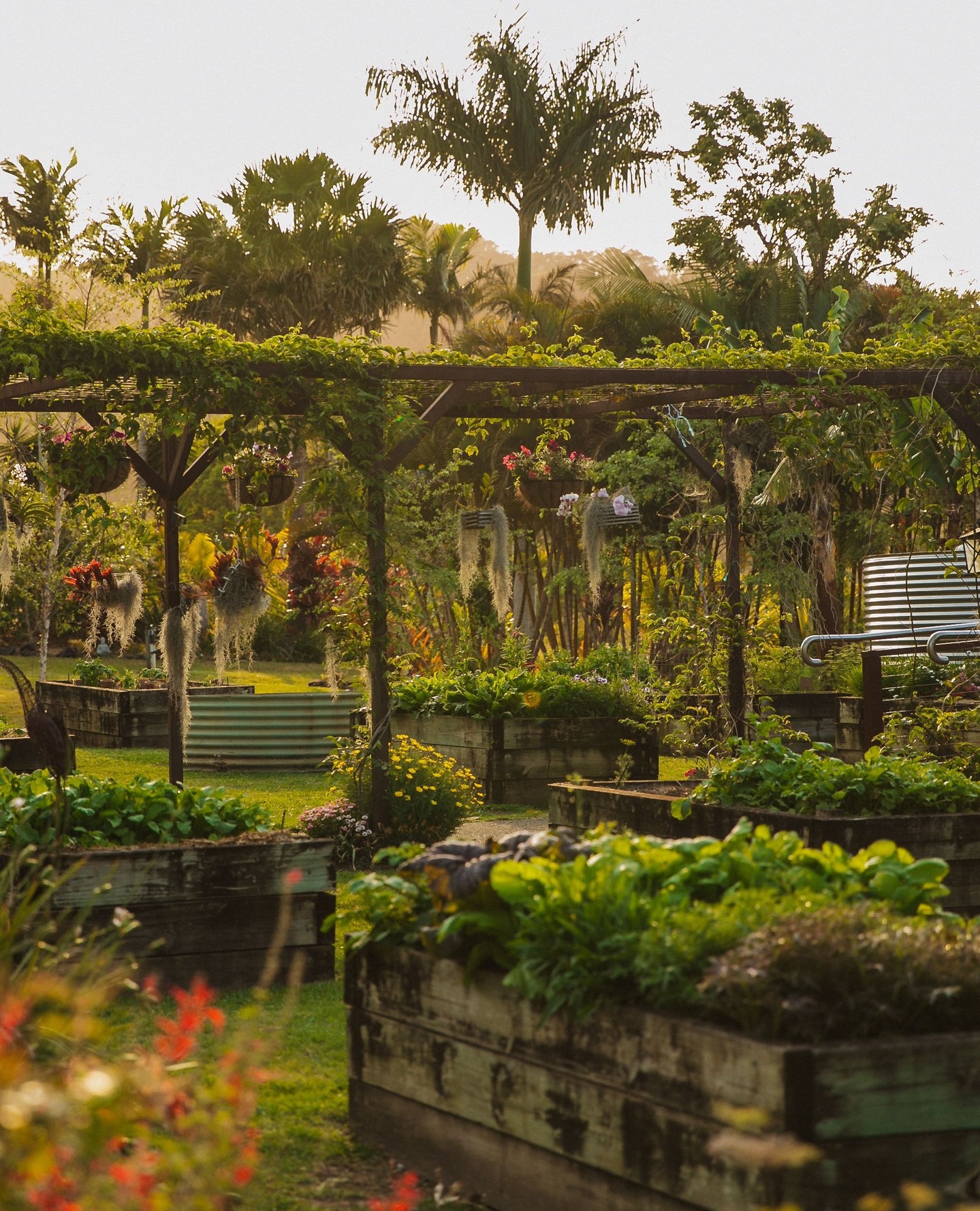The heart of Potager. 🌿⁠
⁠
Our garden is more than just a beautiful backdrop, it's where many of the ingredients that inspire our menu begin their journey.⁠
⁠
With each season comes something new to harvest, grow and share, connecting the garden, the kitchen and every dining experience that follows.⁠
⁠
#PotagerAtCarool #KitchenGarden #SeasonalProduce #GardenToPlate #TasteTheTweed⁠