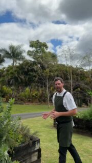 From the garden, to the plate 🌱

In the second episode of our Savour the Tweed garden series, Executive Chef Aaron talks us through one of the stars of the season! Our broad beans, growing right here at POTAGER.

Fresh, vibrant and full of flavour, these are exactly the kind of ingredients we love working with, produce at its peak, grown close to the kitchen and treated with care.

We’re looking forward to bringing the garden into our Savour the Tweed menu and sharing a taste of what’s growing here in the Tweed.

More from the garden soon. 🌿

#SavourTheTweed #Potager #PotagerKitchenGarden #TweedFood #TweedValley