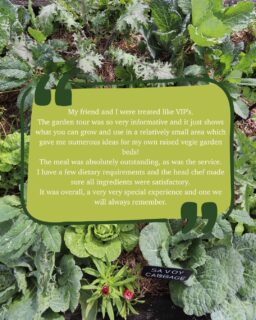 A lovely review from a recent guest 💚

From a wander through the garden to a beautiful meal and warm service, we love hearing when guests enjoy the full Potager experience.

Thank you for visiting and for taking the time to share such kind words. We hope to see you back again soon. 🌿

#PotagerAKitchenGarden #TheTweed #NorthernRiversFood #PaddockToPlate #TasteTheTweed