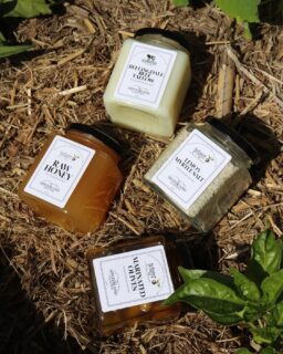 A little something new is taking shape at Potager 🌿
We’ve been building a retail range inspired by the flavours, produce and provenance that sit at the heart of what we do — with favourites like raw honey, lemon myrtle salt, marinated olives and Bellingdale Beef tallow already making their way onto the shelf.
Consider this a little first look. There’s more to come, with new products joining the range soon and plans to make them available across more businesses within The Hinterland Collection.
For now, you can discover the first of the range at Potager.

#Potager #PotagerAKitchenGarden #LocalProduce #BellingdaleBeef #TheHinterlandCollection #TheTweed #NorthernRiversFood